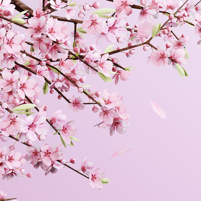 정희경 연구생