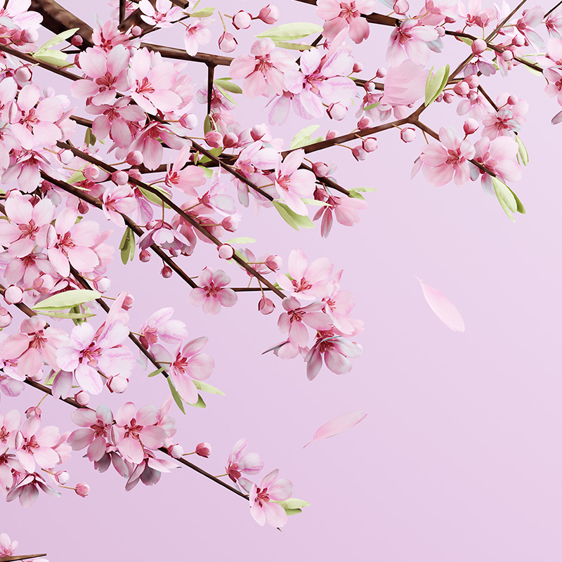 정희경 연구생